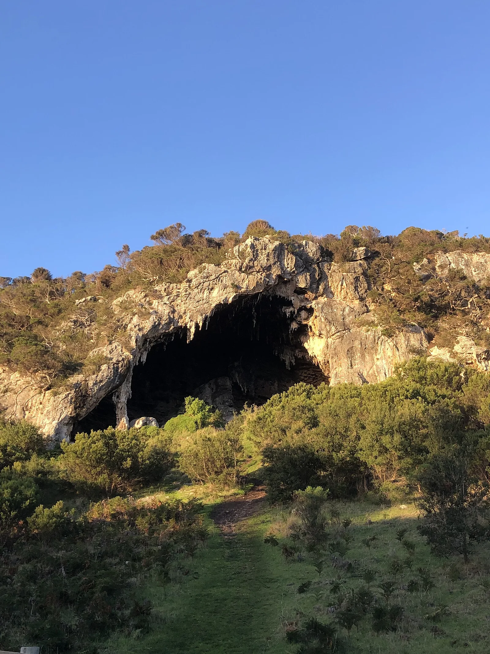 Tarragal Caves
